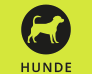 ZOO THOMAS - Hunde Abteilung Hunde