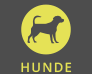 Hunde Abteilung